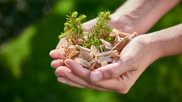 AmstutzHolzenergieAG Symbolbild web AmstutzHolzenergieAG Symbolbild web