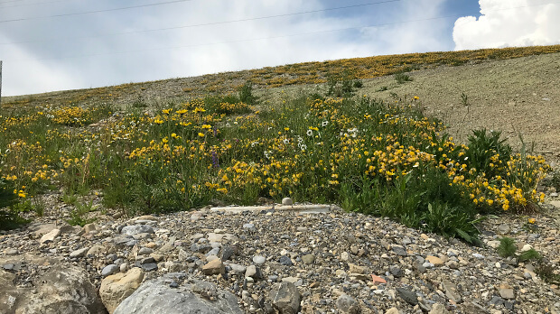 IMG 0987 IMG 0987