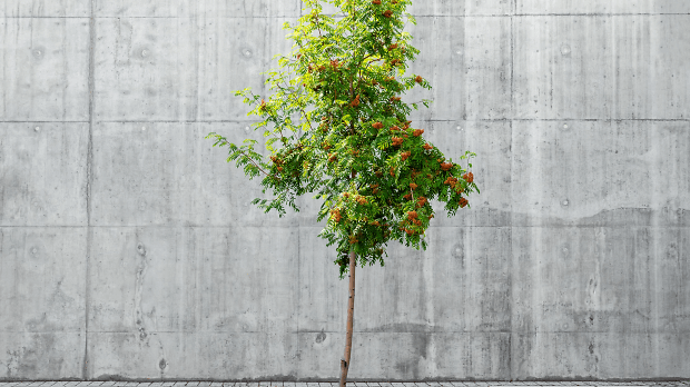 Unsplash pawel czerwinski web