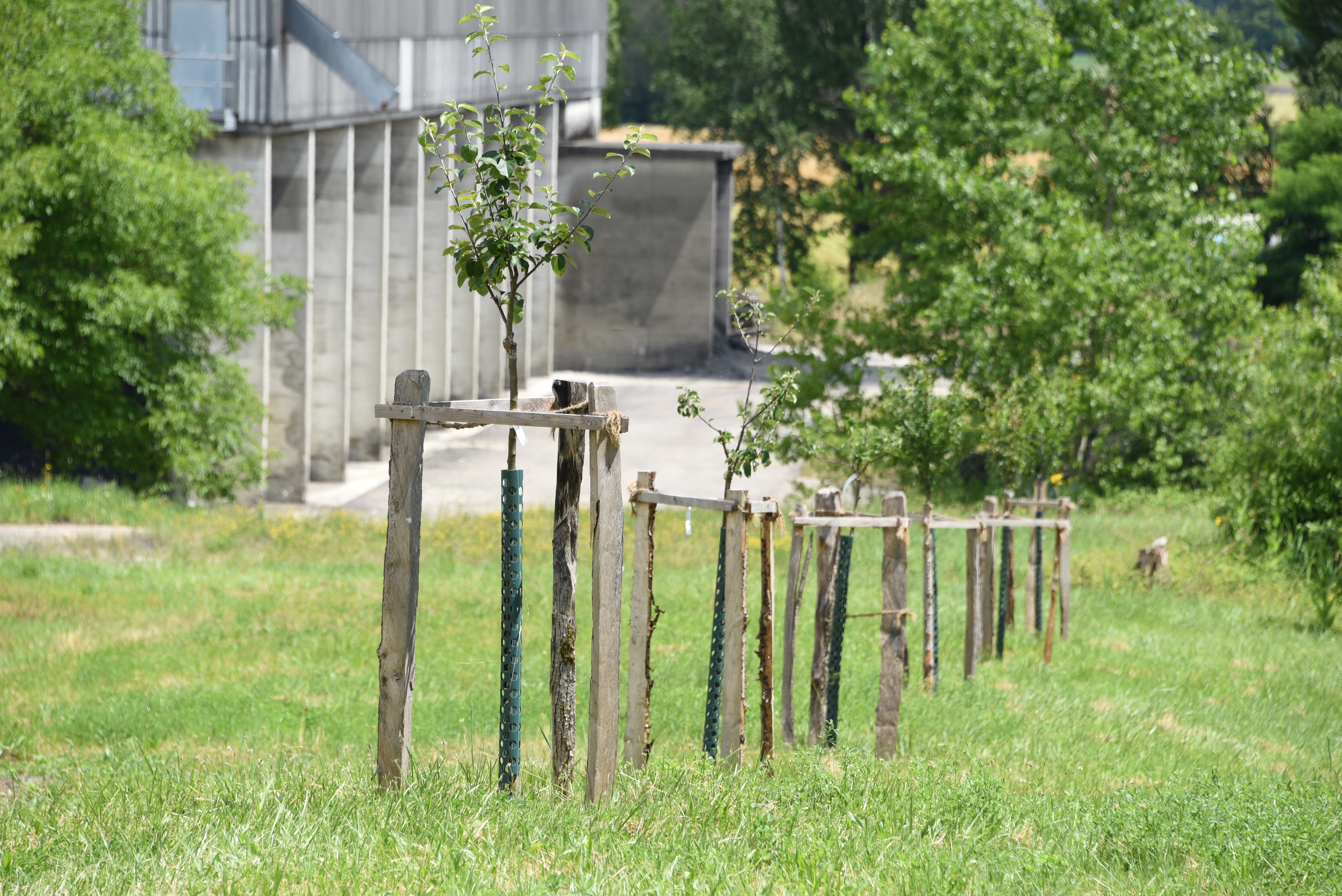 2016 07 05 Début projet 008