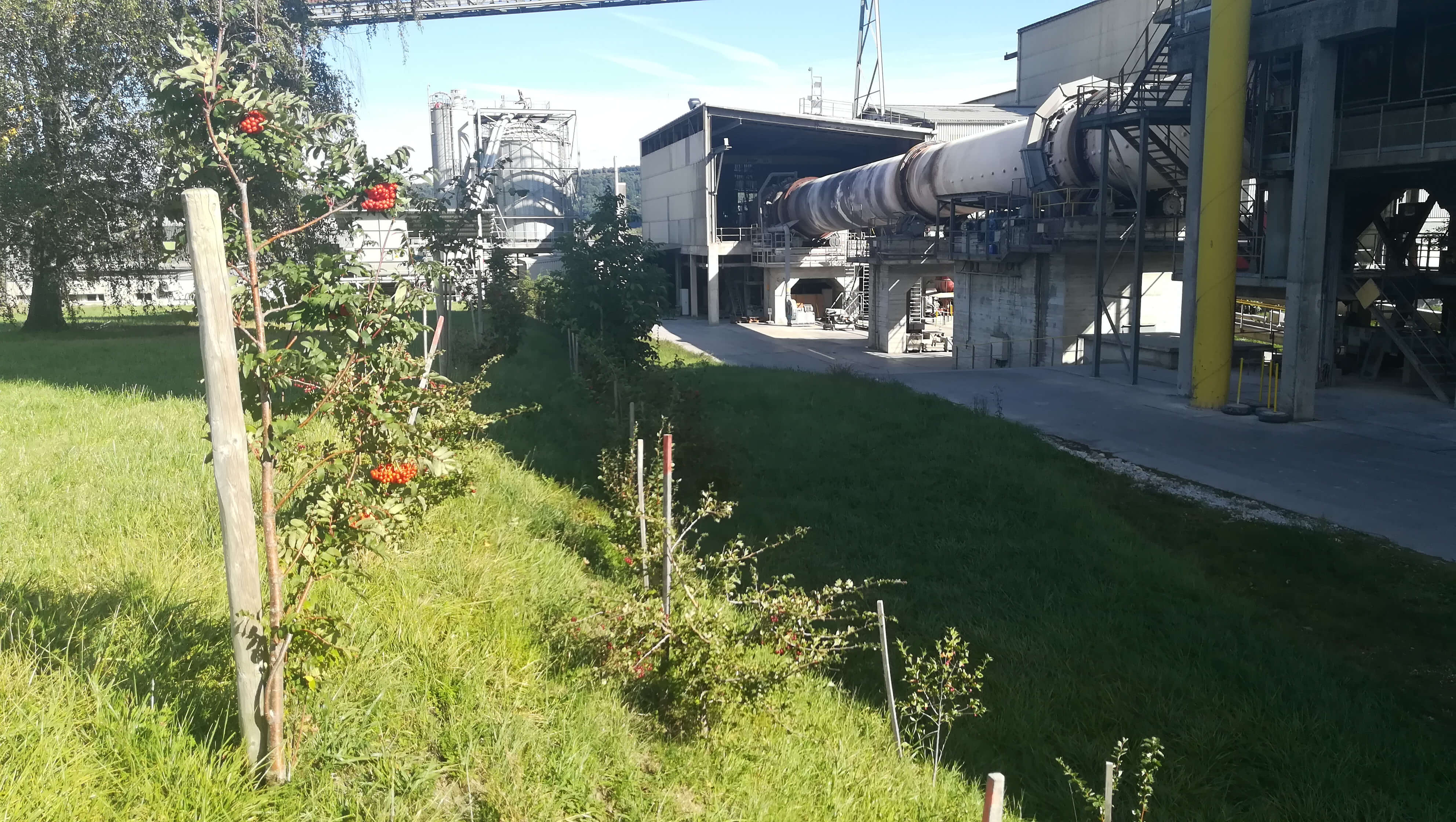 2017 09 15 Nouvelles haies 003