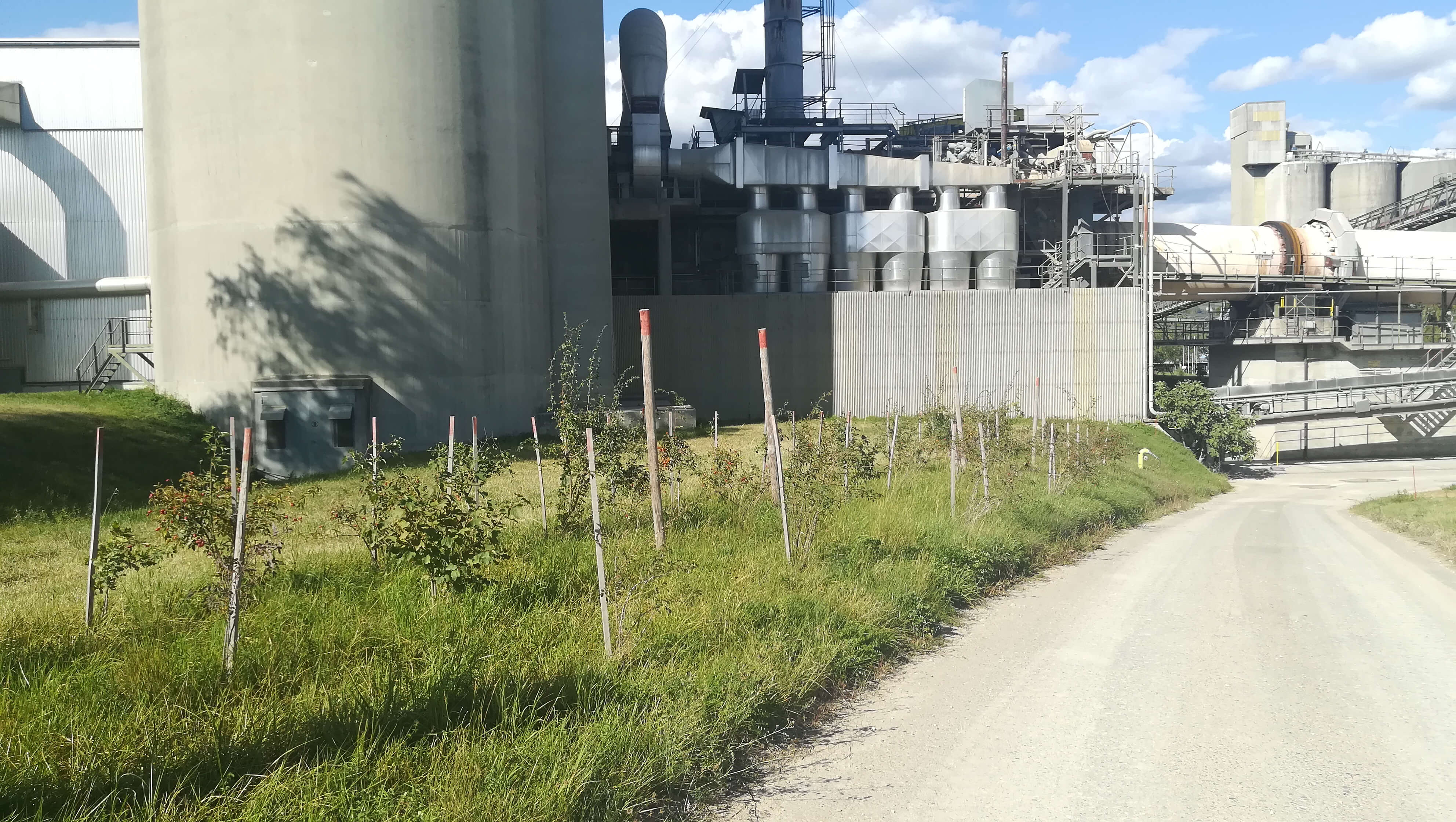 2017 09 15 Nouvelles haies 008