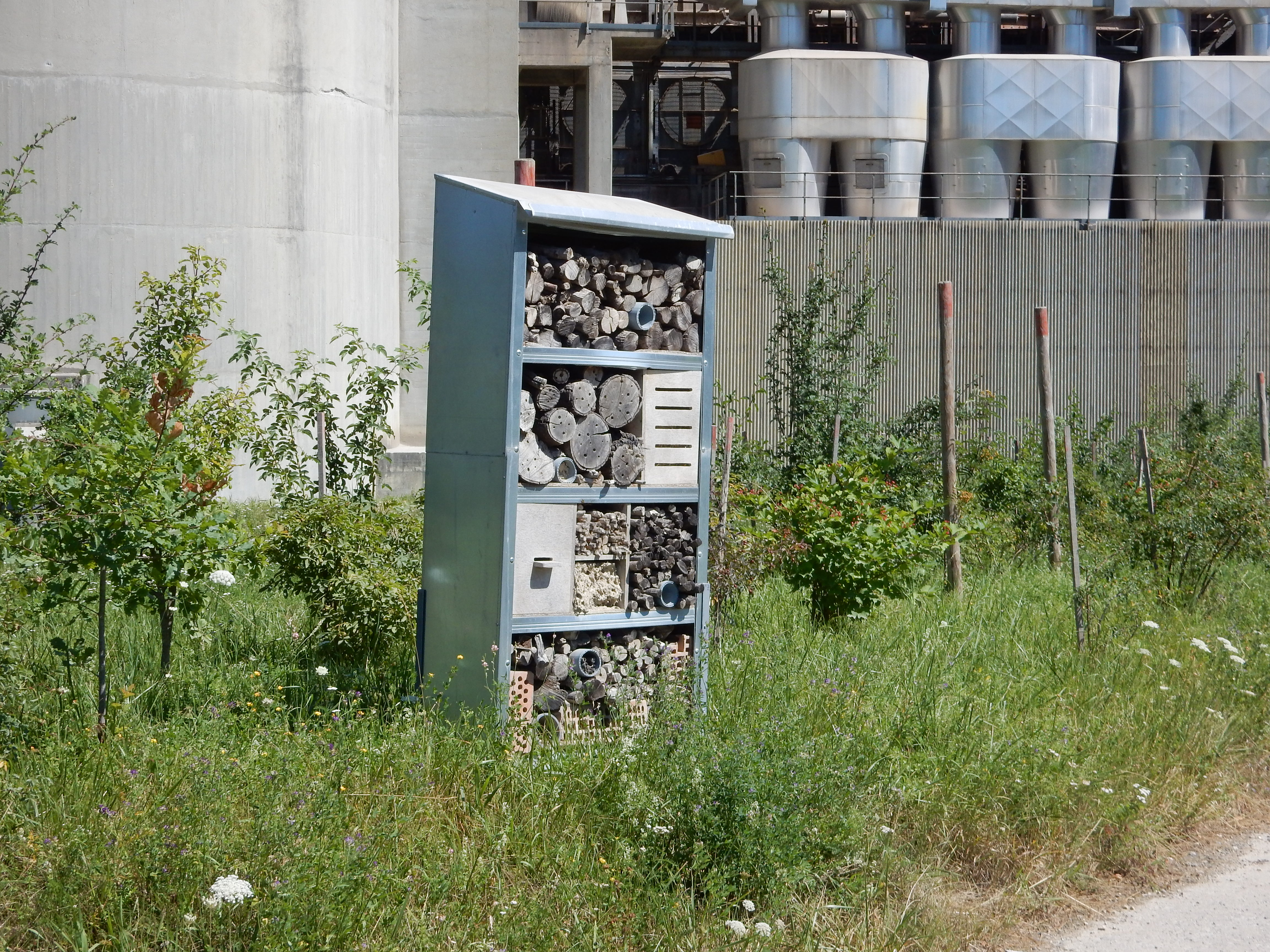 2018 07 04 Hôtel à insectes 005