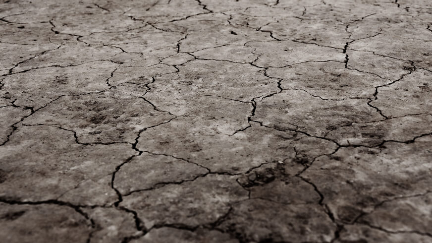 arid 20821 arid 20821