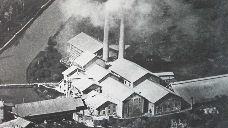 Jura Cement Fabrik Zurlindeninsel im Jahre 1920