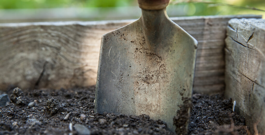 garden 1176406 garden 1176406